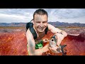 I stayed 24 hours on lake of dead  lake natron animals turn to stone   lake natron tanzania