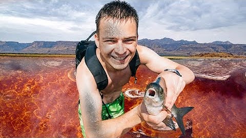 I stayed 24 Hours on Lake of Dead | Lake Natron Animals turn to Stone  - Lake Natron Tanzania