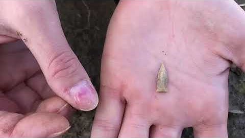 Arrowhead Hunting - Bird Points everywhere! (Boeuf Prairie Artifacts) 12/28/18