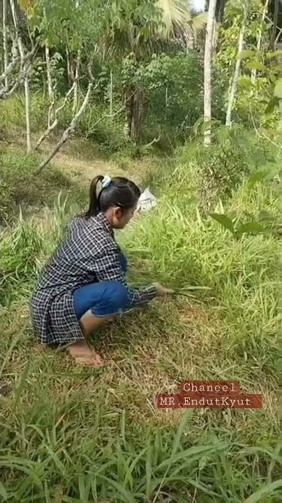 Bikin GEGER..!!!  Cara cewek Cantik Cari Rumput #Shorts