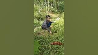 Bikin GEGER..!!!  Cara cewek Cantik Cari Rumput #Shorts