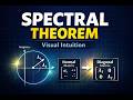 The Spectral Theorem, Explained Clearly
