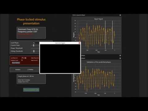 Signal processing and neurofeedback control in behavioral experiments