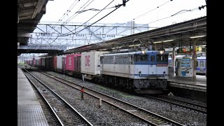 【Japan Railway】白&ピンクONE 計5個積載 海上コンテナ輸送 4072レ EF65 2117牽引