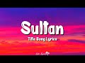 Sultan title song lyrics salman khan anushka sharma shadab sukhwinder singh