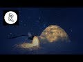 Arctic Storm - Blizzard Video, 4K - Ambiance for Relaxation, Sleep & SPA, Natural White Noise