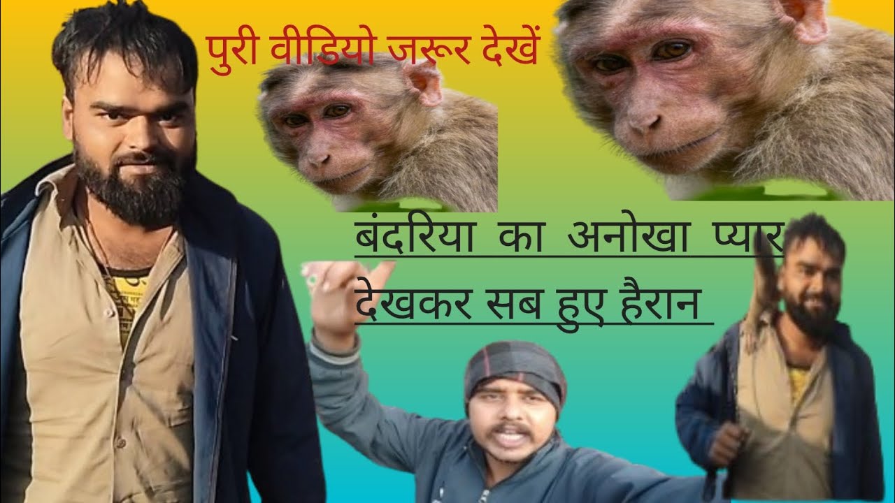 बदरिया का अनोखा प्यार देखकर सब हैरान #newtrending #viralvideo 