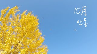 10월, 안동고택에서 조용한 힐링 | 수애당 | 브이로그 | 오지게르만 OZGman