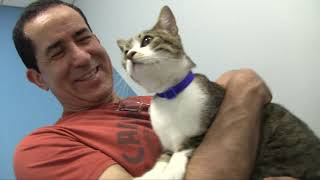 Emancipet Celebrates 20 Years of Nonprofit Veterinary Service