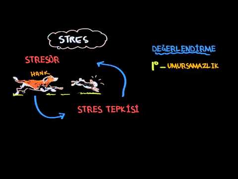 Stres Nedir?