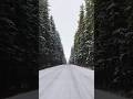 This Road Makes Me Happy #cinematography