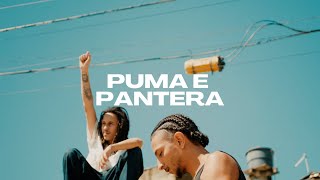 03. PUMA E PANTERA - Pecaos e Nek (Prod.lucasbin)