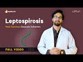Leptospirosis Pathophysiology and Treatment | Microbiology Video Lecture
