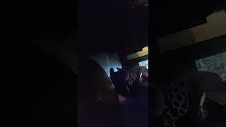 Driftless Pony Club Live show bootleg, 27/6/26 Gman Tavern Chicago