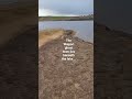 Ghosts of Waipori. #ghost #cemetery #history #shortsyoutube #goldrush #paranormal #ghostown #scary