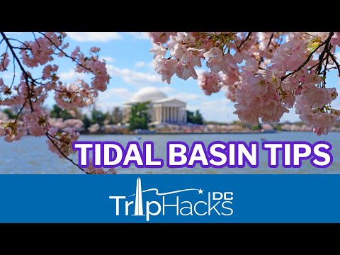 Vidéo: Explorer le Tidal Basin à Washington, DC