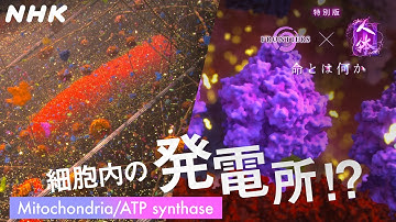 [フロンティア] 細胞内のエネルギー供給源ミトコンドリア (Mitochondria) とATP合成酵素の働きを超高精細CGで映像化 最新科学が解き明かした命のメカニズムを紹介 | NHK