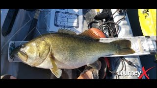 How to Measure Your Fish on Bump Boards Correctly for Online Tournaments 