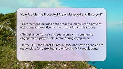 How Are Marine Protected Areas Managed and Enforced? - Ecosystem Essentials