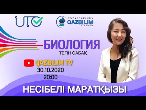 Бейне: Пайдаланушыны зерттеудің кілті неде?