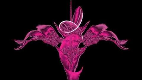 Michael Moriarty - Concerto for Orchestra  - Movement 3