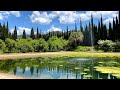 La Concepción in Málaga (botanical garden)