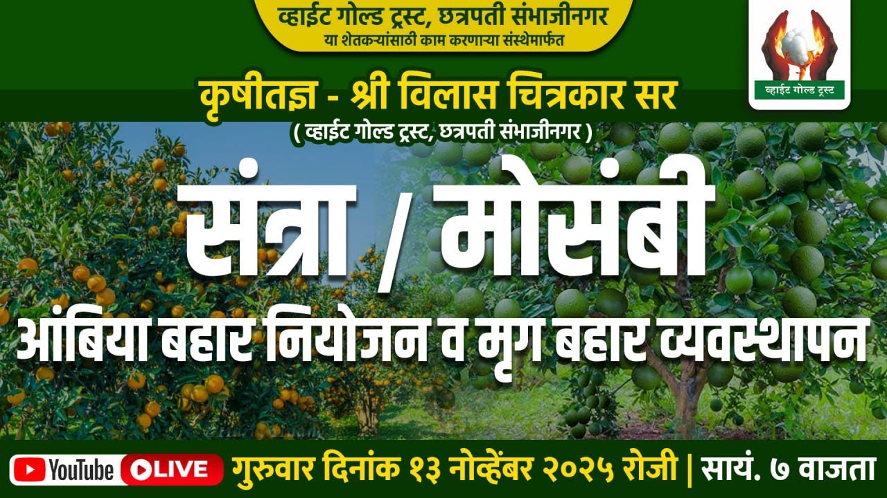 संत्रा व मोसंबी आंबिया बहार नियोजन व मृग बहार व्यवस्थापन