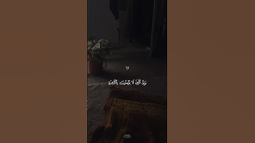 تلاوة هادئة تأخذك إلى عالم من الهدوء والسكينة بصوت الشيخ ماهر المعيقلي ♡ #ماهر_المعيقلي #short