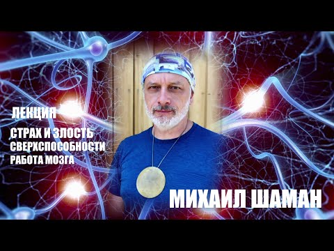 Видео: МИХАИЛ ШАМАН   РАБОТА МОЗГА  ЛЕКЦИЯ