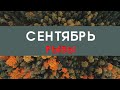 РЫБЫ   ТАРО ПРОГНОЗ НА СЕНТЯБРЬ 2021