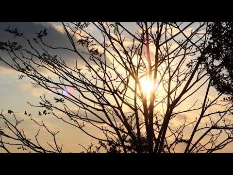 「阿久悠名曲選」　北の蛍