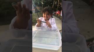WILL IT FLOAT OR SINK?!-CRAYON TEST!