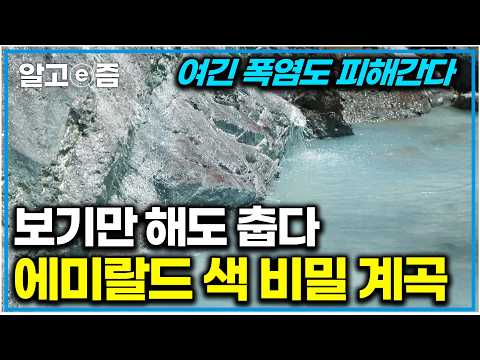 "여기 한국 맞아?!" 이 계곡 폭염에도 손이 정말 시리다, 높은 절벽 위에서 떨어지는 시원한 폭포수 와 에메랄드빛 비밀 계곡 명소｜한국기행｜알고e즘