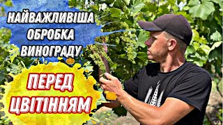 Обробка винограду перед цвітінням. Всі хвороби та шкідники одним махом.