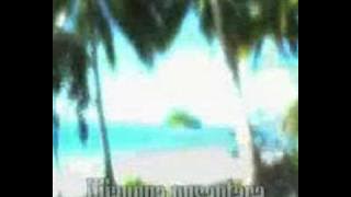 mirwana feat shahir-indah bumi kita