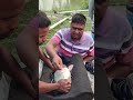 Fish Injection for More Fry.#viral