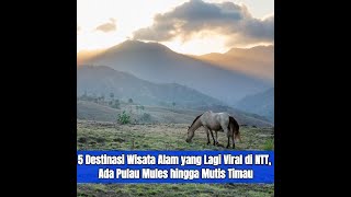5 Destinasi Wisata Alam yang Lagi Viral di NTT, Ada Pulau Mules hingga Mutis Timau