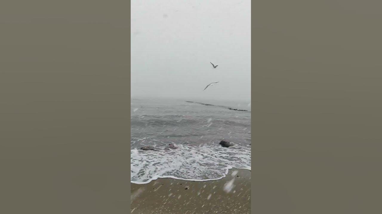 Температура воды в море сегодня +8.5 градуса Светлогорск Морской курорт ...