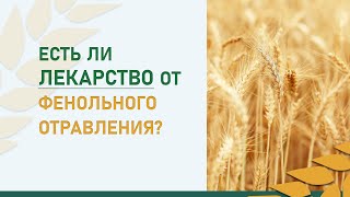 картинка: Есть ли лекарство от фенольного отравления?