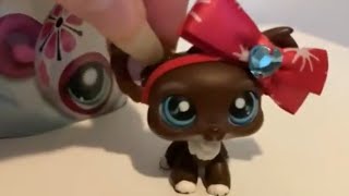 LPS Wave 3 Blind Bags From Family Bingo Unboxing