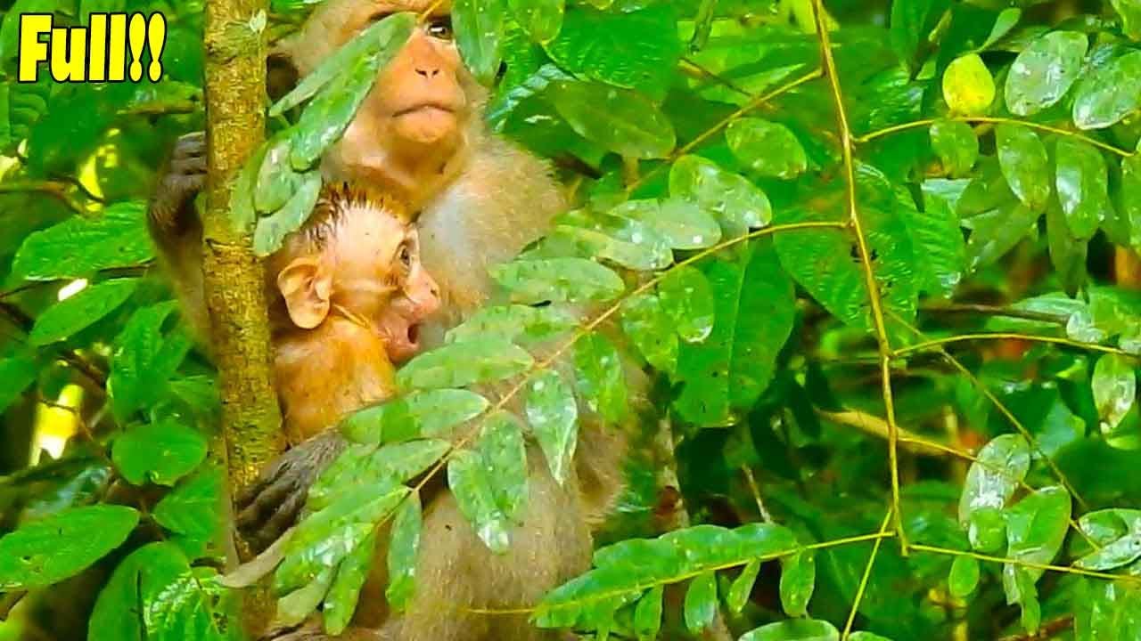 Wow Baby Elpida Was Full And She Needs TO Rest Before She Going To Get More In This Evening.