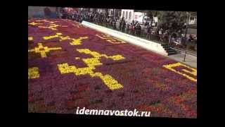 Фестиваль тюльпанов 2015 в Стамбуле: самый большой в мире ковер из тюльпанов