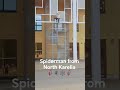 Spiderman from North Karelia #joensuu #rantakylä #spiderman #norssi