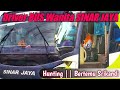 Wanita Cantik Yang Jadi Sopir Bus Sinar Jaya || Srikandi Hijabers Driver Bus | Hunting Bus #hijabers