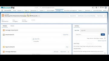 AccountPal for ABM on Salesforce(Account Campaigns, Ad Targeting)