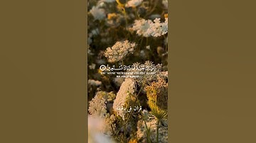قران كريم ارح قلبك وسمعك #قران_في_دقيقة #هزاع_البلوشي #quran #قرآن @قران_في_دقيقه