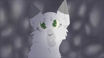 Running With The Wolves [Part 14]