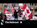 Protests renew debate about Canadian flag