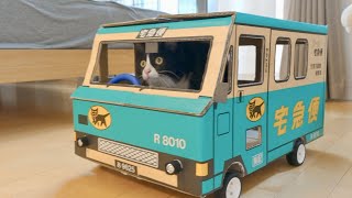 Make a custom cardboard car that the cat drives