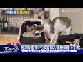 每3戶就1戶養寵物! 毛孩年燒3萬　獸醫系成考生搶報熱門｜十點不一樣20260617 @TVBSNEWS01